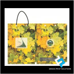 Papers Carry Bags Design-Print